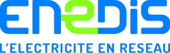 Logo Enedis.jpg